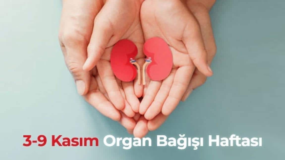 ORGAN BAĞIŞI HAFTASI